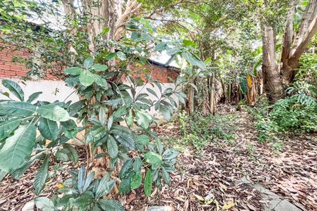 Casa para alugar com 464m², 3 quartos e 4 vagasQuintal