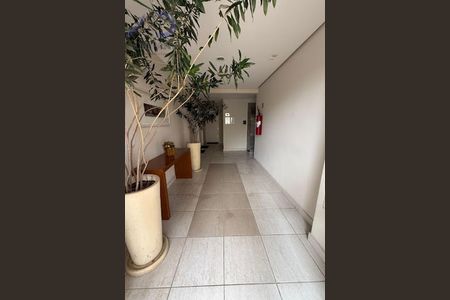 Apartamento à venda com 3 quartos, 100m² em Jardim Celeste, São Paulo