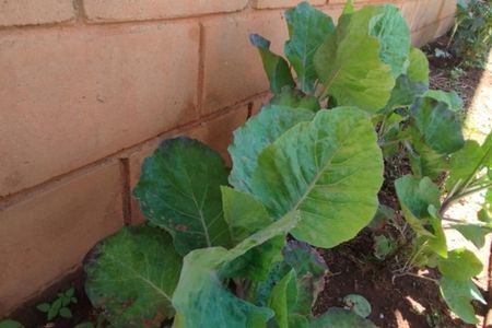 Casa de condomínio à venda com 271m², 4 quartos e 4 vagas