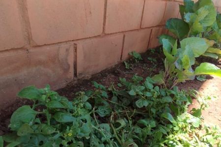 Casa de condomínio à venda com 271m², 4 quartos e 4 vagas