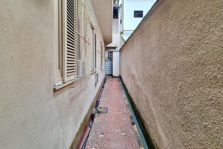 Casa para alugar com 258m², 4 quartos e 3 vagasQuintal