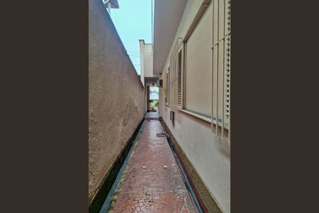 Casa para alugar com 258m², 4 quartos e 3 vagasQuintal