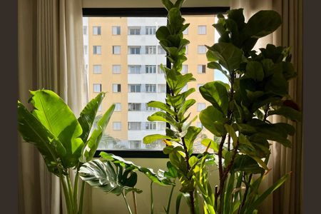 Vista da Sala de apartamento à venda com 2 quartos, 70m² em Jardim Dom Vieira, Campinas
