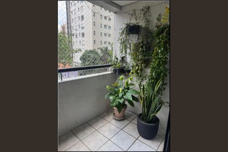 Apartamento à venda com 3 quartos, 79m² em Aclimação, São Paulo