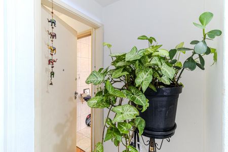 Studio à venda com 40m², 1 quarto e sem vagaEntrada