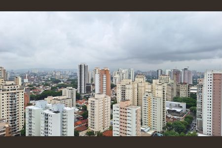 Studio para alugar com 27m², 1 quarto e sem vagaVista