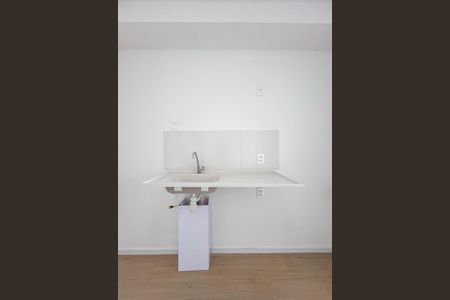 Detalhe da cozinha de apartamento para alugar com 2 quartos, 30m² em Vila Dom Pedro I, São Paulo
