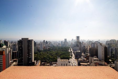 Studio para alugar com 25m², 1 quarto e sem vaga Studio para alugar com 25m², 1 quarto e sem vagaVista Varanda