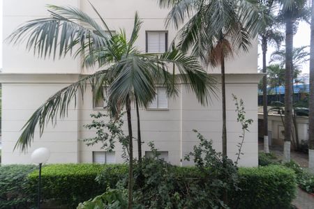 Apartamento para alugar com 49m², 2 quartos e 1 vagaVista do Quarto 1