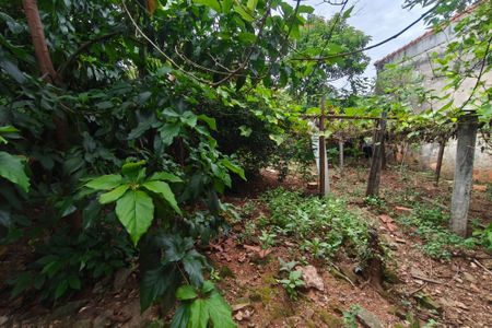 Casa à venda com 171m², 3 quartos e 6 vagasQuintal - Jardim