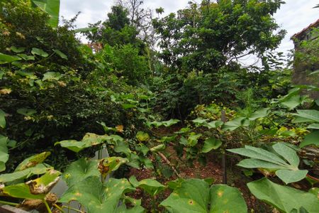 Casa à venda com 171m², 3 quartos e 6 vagasQuintal - Jardim