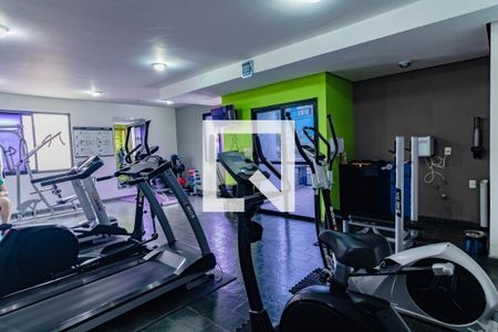 Apartamento à venda com 53m², 2 quartos e 1 vaga Apartamento à venda com 53m², 2 quartos e 1 vagaÁrea comum - Academia