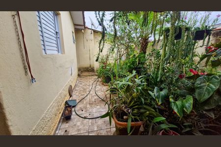 Casa para alugar com 160m², 2 quartos e 4 vagasÁrea externa