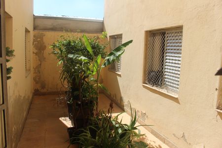Apartamento à venda com 137m², 3 quartos e 1 vagaQuintal