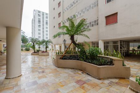 Apartamento à venda com 75m², 2 quartos e 1 vagaÁrea comum