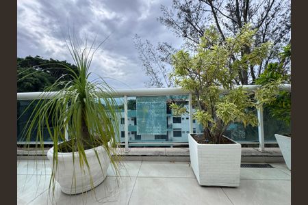 Apartamento à venda com 270m², 3 quartos e 2 vagas Apartamento à venda com 270m², 3 quartos e 2 vagasPlaquinha Quinto Andar