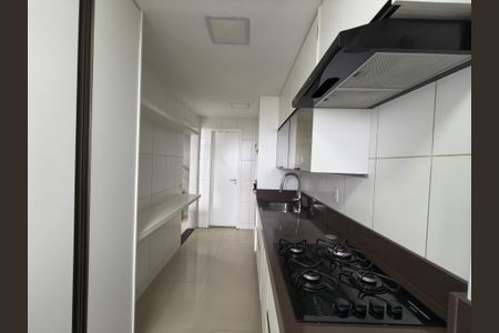 Apartamento para alugar com 157m², 2 quartos e 3 vagas Apartamento para alugar com 157m², 2 quartos e 3 vagasCozinha