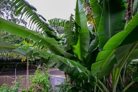 Casa para alugar com 68m², 2 quartos e 3 vagasVista do Quarto 2