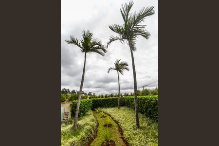 Apartamento para alugar com 75m², 2 quartos e 2 vagasVista