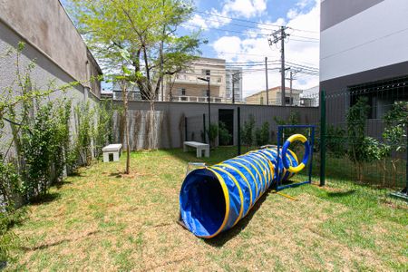 Studio para alugar com 25m², 1 quarto e sem vagaÁrea comum - Espaço Pet