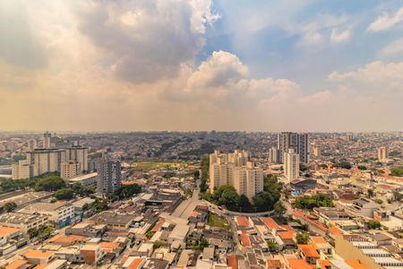Apartamento para alugar com 2 quartos, 51m² em Vila Mascote, São Paulo