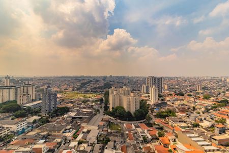 Apartamento para alugar com 2 quartos, 51m² em Vila Mascote, São Paulo