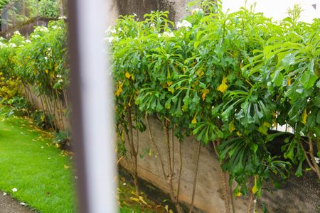 Vista do Quarto 1 de apartamento à venda com 2 quartos, 50m² em Engenho de Dentro, Rio de Janeiro
