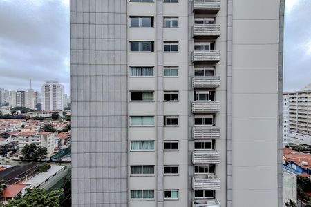 Apartamento à venda com 177m², 4 quartos e 3 vagasVista da Suíte