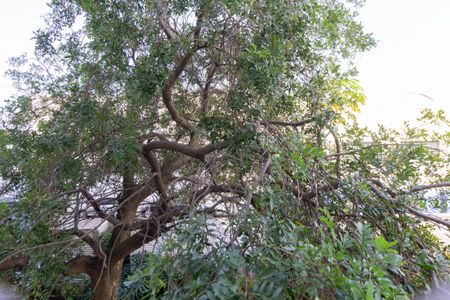 Apartamento para alugar com 74m², 3 quartos e 1 vaga Apartamento para alugar com 74m², 3 quartos e 1 vagaVista do Quarto 2