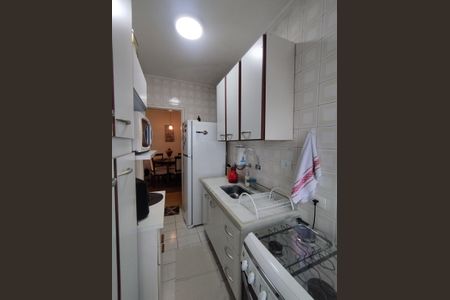 Apartamento à venda com 51m², 2 quartos e 1 vagaCozinha - Armários