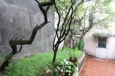 Casa à venda com 300m², 6 quartos e sem vagaQuintal / área de serviço