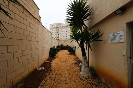 Apartamento à venda com 80m², 2 quartos e 2 vagasÁrea Comum - Espaço Pet