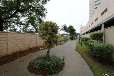 Apartamento à venda com 80m², 2 quartos e 2 vagasÁrea Comum - Pista de caminhada