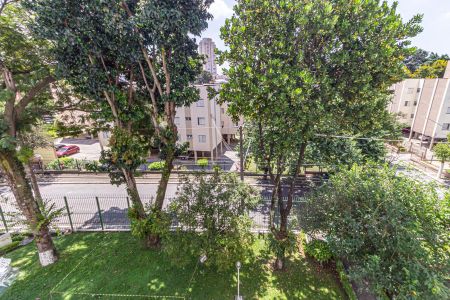 Sala - Vista de apartamento à venda com 3 quartos, 80m² em Vila Claudia, São Paulo