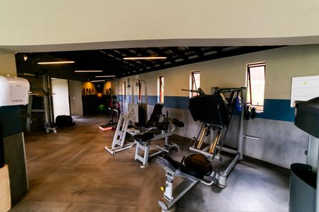 Casa de condomínio para alugar com 390m², 4 quartos e 4 vagas Casa de condomínio para alugar com 390m², 4 quartos e 4 vagasÁrea comum - Academia