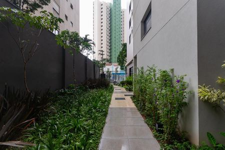 Apartamento para alugar com 25m², 1 quarto e sem vagaÁrea Comum