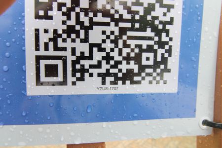 Casa para alugar com 70m², 3 quartos e 2 vagasCod. Placa