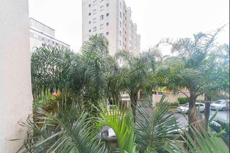 Vista da Sala de apartamento para alugar com 2 quartos, 48m² em Parque Sao Vicente, Santo André