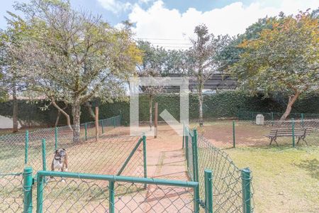 Apartamento à venda com 87m², 3 quartos e 2 vagasÁrea comum - Espaço Pet