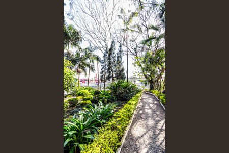 Apartamento para alugar com 64m², 3 quartos e 1 vagaÁrea comum