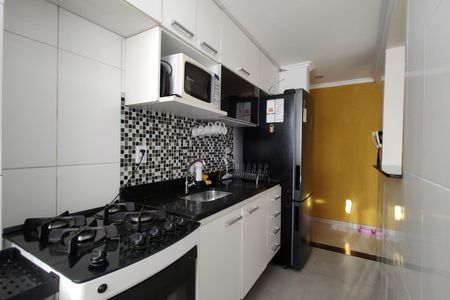 Apartamento à venda com 62m², 3 quartos e 1 vaga Apartamento à venda com 62m², 3 quartos e 1 vagaCozinha - Armários