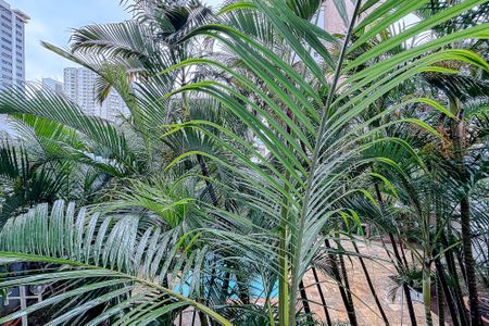 Apartamento à venda com 60m², 2 quartos e 1 vaga Apartamento à venda com 60m², 2 quartos e 1 vagaVista do Quarto 2