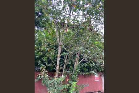 Studio para alugar com 30m², 1 quarto e sem vagaÁrea externa