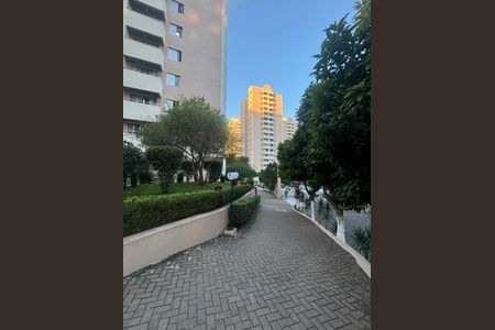 Apartamento à venda com 67m², 3 quartos e 1 vagaFoto 33