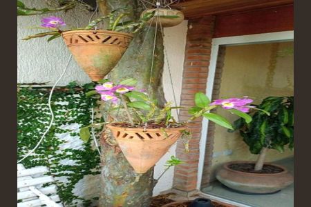 Casa à venda com 3 quartos, 231m² em Vila Monumento, São Paulo