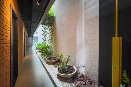 Studio para alugar com 20m², 1 quarto e sem vaga Studio para alugar com 20m², 1 quarto e sem vagaÁrea comum