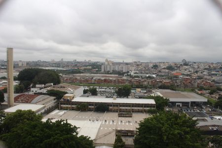 Apartamento para alugar com 75m², 2 quartos e 2 vagasVista
