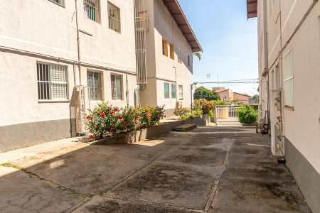 Apartamento para alugar com 80m², 3 quartos e 2 vagas Apartamento para alugar com 80m², 3 quartos e 2 vagasÁrea Comum-Corredor entre os blocos