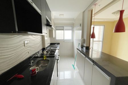 Apartamento para alugar com 49m², 2 quartos e 1 vagaCozinha - Armários