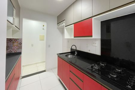 Apartamento para alugar com 44m², 2 quartos e 1 vagaCozinha - Armários